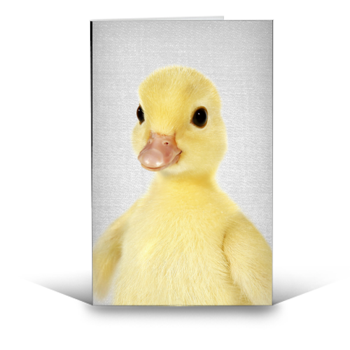 Duckling 2 - Colorful - funny greeting card by Gal Design